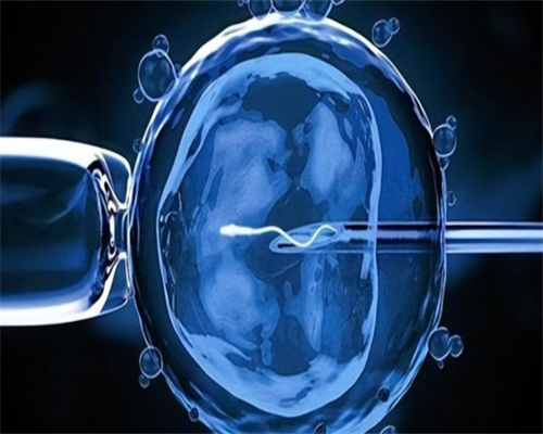 2026年供卵代孕所需证件及流程详解