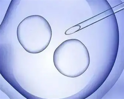 第九人民医院试管婴儿费用及成功率详解