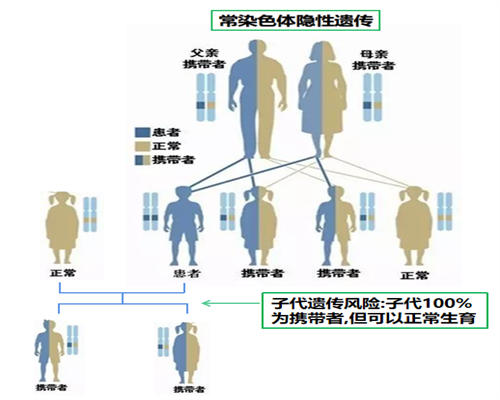 上海捐卵费用与试管风险解析-代生助孕服务指南
