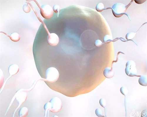 上海瑞金医院供卵代怀婴儿费用解析与成功率指南