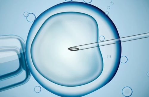 上海代怀医院位置与生育金领取指南及试管费用解析