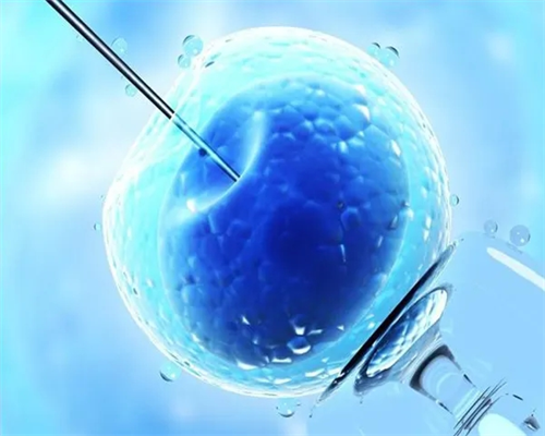 上海医院试管婴儿费用明细及成功率解析，助您实现代生梦想