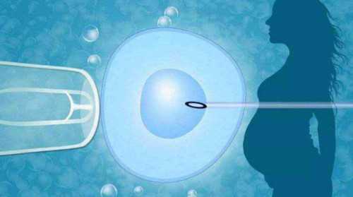 上海权威试管婴儿医院推荐与成功率分析