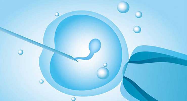河西多囊卵巢做供卵试管_试管婴儿，逐渐普及的新科技