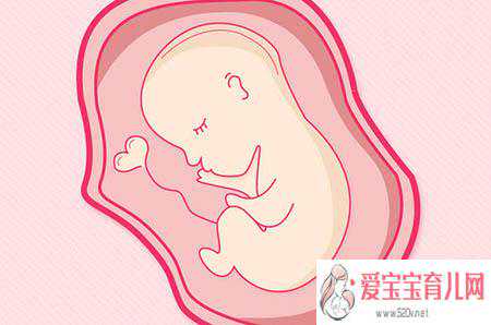 桂林哪有私立供卵_桂林供卵囊胚质量好一次成功吗_支原体感染对做泰国试管婴