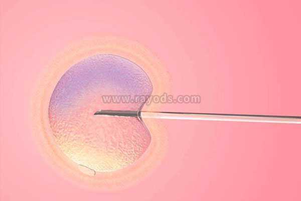 三明合法代生需要多少钱_试管移植哪种胚胎成功率高？冻胚以及囊胚移植3种解