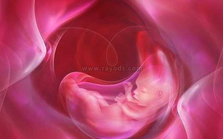 阜阳代生多胞胎_试管婴儿移植后几天可以测出怀孕？