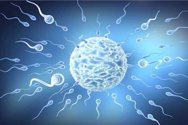 大兴安岭地别人代生孩子_日本试管备孕必看！有助胚胎着床的4个诀窍！