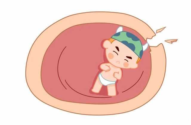 石家庄诺贝尓代孕中心_石家庄代孕公司是什么_贵州首个“第三代试管婴儿”出