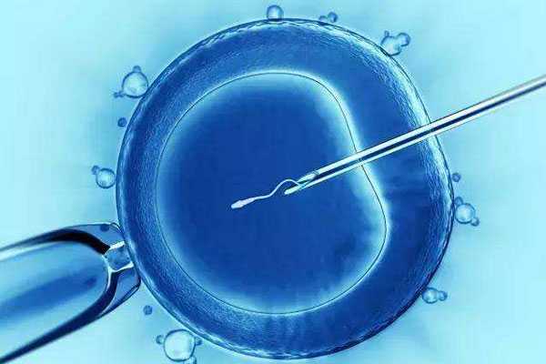 德宏代孕现在多少钱_试管婴儿打促排卵针要打多久？什么时候打？