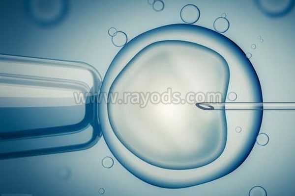 河池做试管代孕_河池代孕者联系方式_试管婴儿胚胎分裂8细胞 如何分级别？