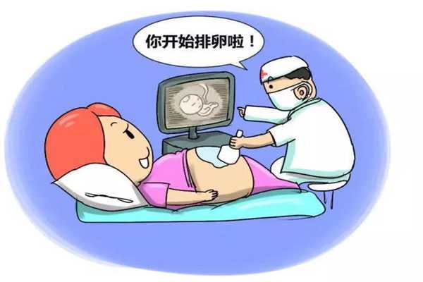 阿坝哪地方代孕权威_做试管婴儿视频全部过程:治疗输卵管不通多少钱？