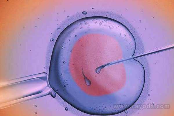 曲靖供卵代孕中心_试管黄体期促排有成功的吗？黄体期促排卵成功案例