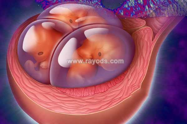 安阳正规代孕价格表_泰国第三代试管婴儿：从囊胚培养开始避免多胎妊娠